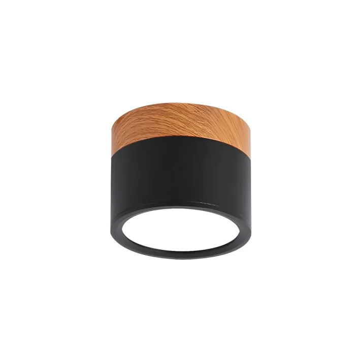 Cylindrical LED Ceiling Light Fixture | Luminex