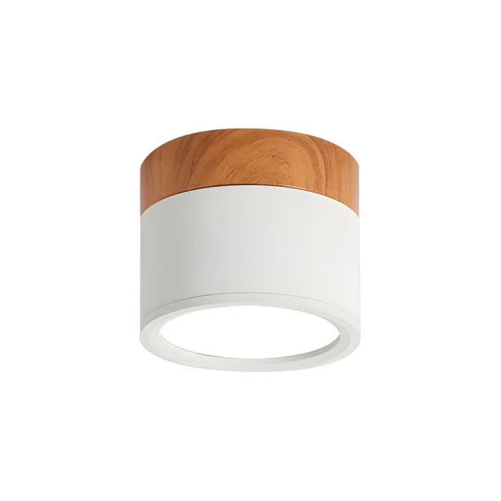 Cylindrical LED Ceiling Light Fixture | Luminex