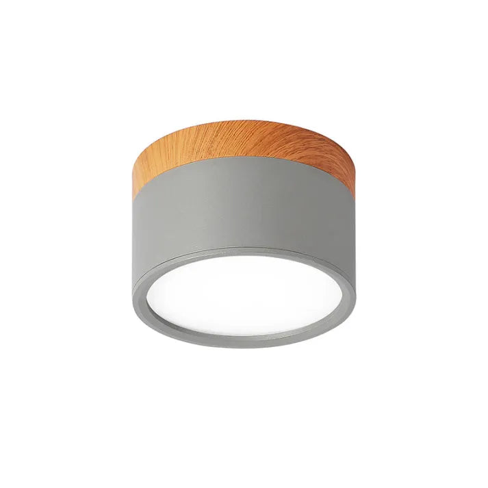 Cylindrical LED Ceiling Light Fixture | Luminex