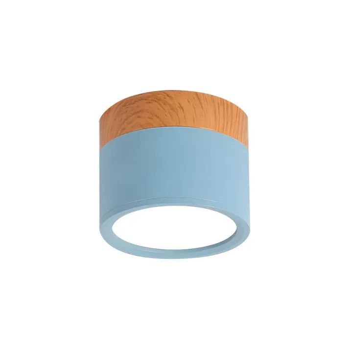 Cylindrical LED Ceiling Light Fixture | Luminex