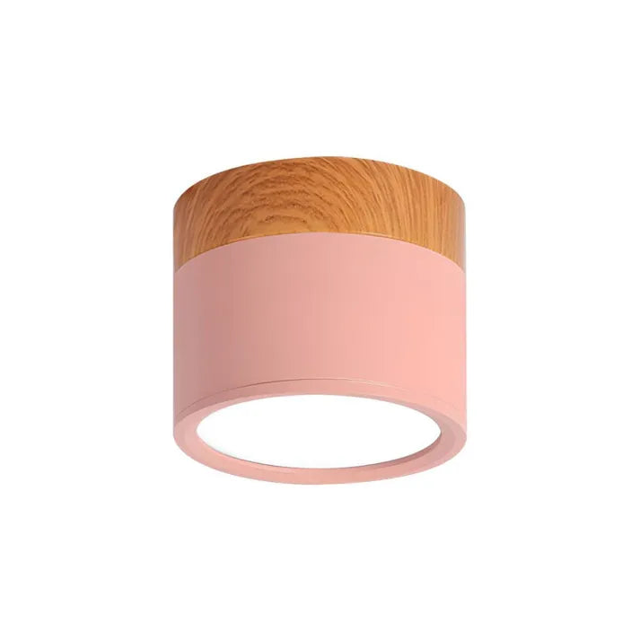Cylindrical LED Ceiling Light Fixture | Luminex