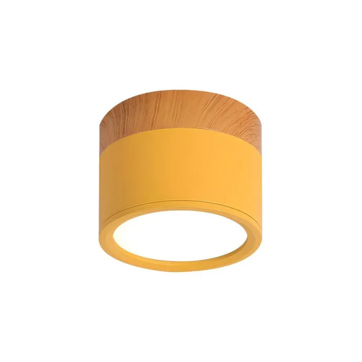 Cylindrical LED Ceiling Light Fixture | Luminex