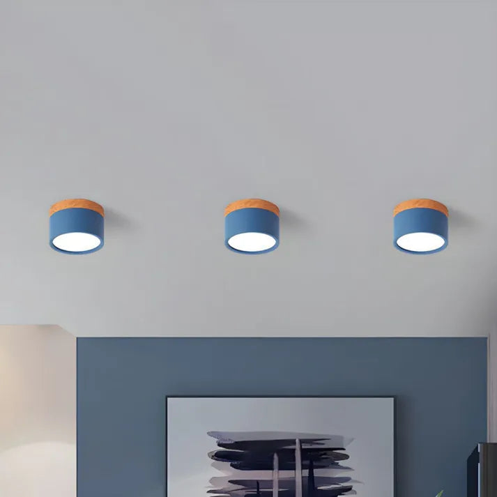 Cylindrical LED Ceiling Light Fixture | Luminex