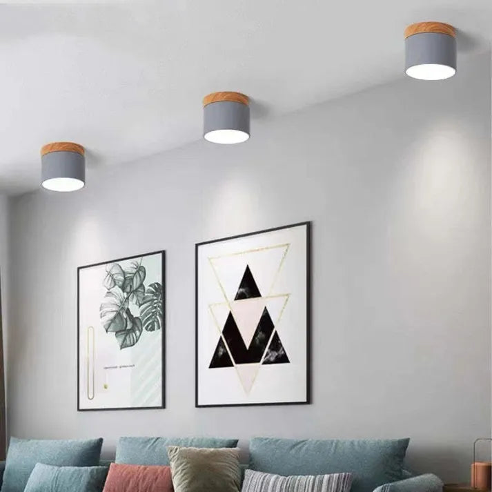 Cylindrical LED Ceiling Light Fixture | Luminex