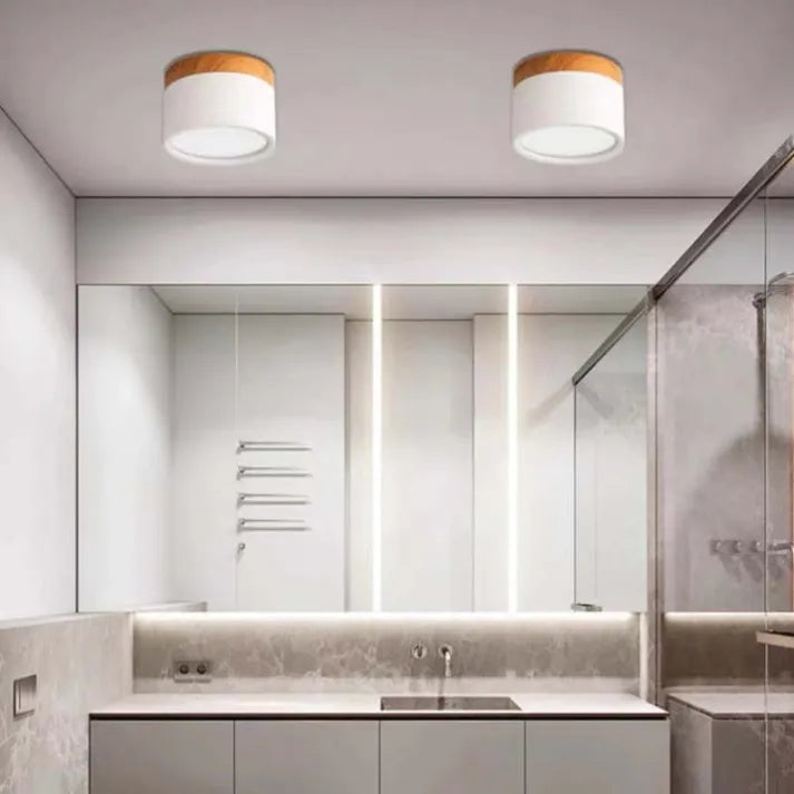 Cylindrical LED Ceiling Light Fixture | Luminex