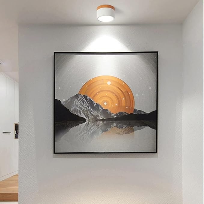Cylindrical LED Ceiling Light Fixture | Luminex