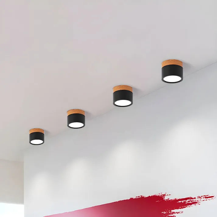 Cylindrical LED Ceiling Light Fixture | Luminex