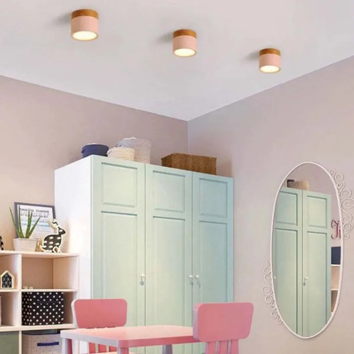 Cylindrical LED Ceiling Light Fixture | Luminex