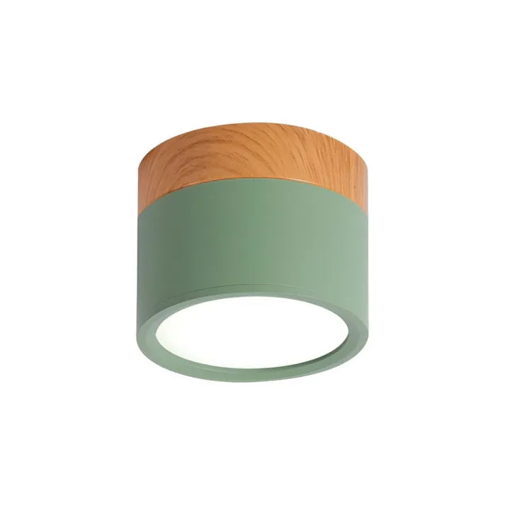 Cylindrical LED Ceiling Light Fixture | Luminex