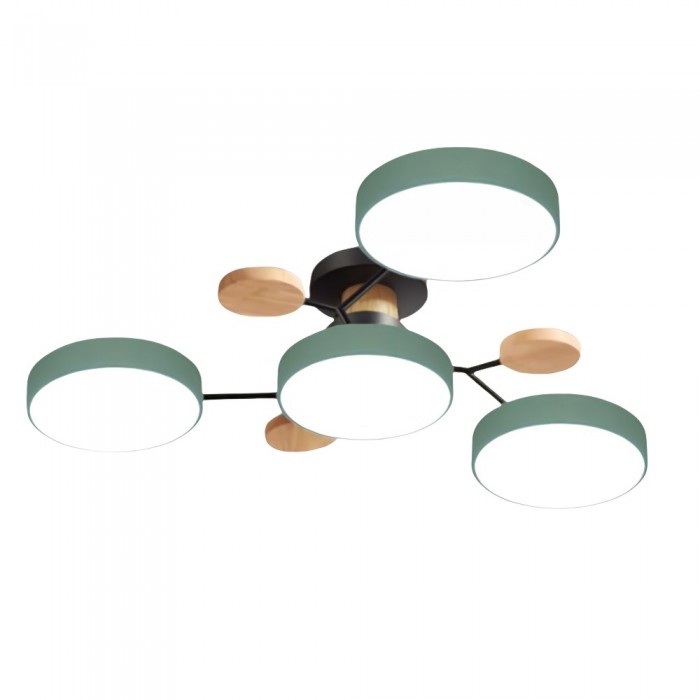 LED Ceiling Light Fixture | Branchilo