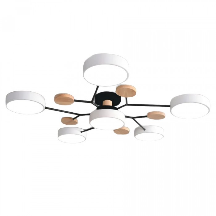 LED Ceiling Light Fixture | Branchilo
