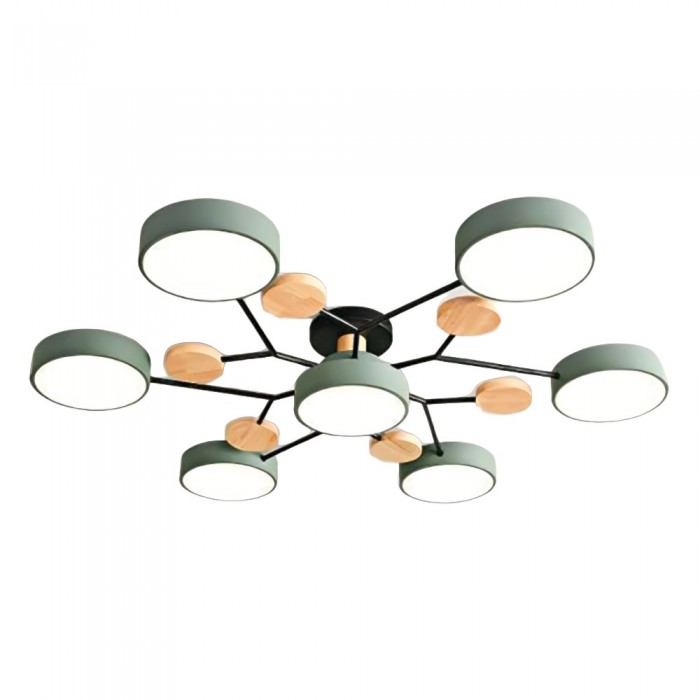 LED Ceiling Light Fixture | Branchilo
