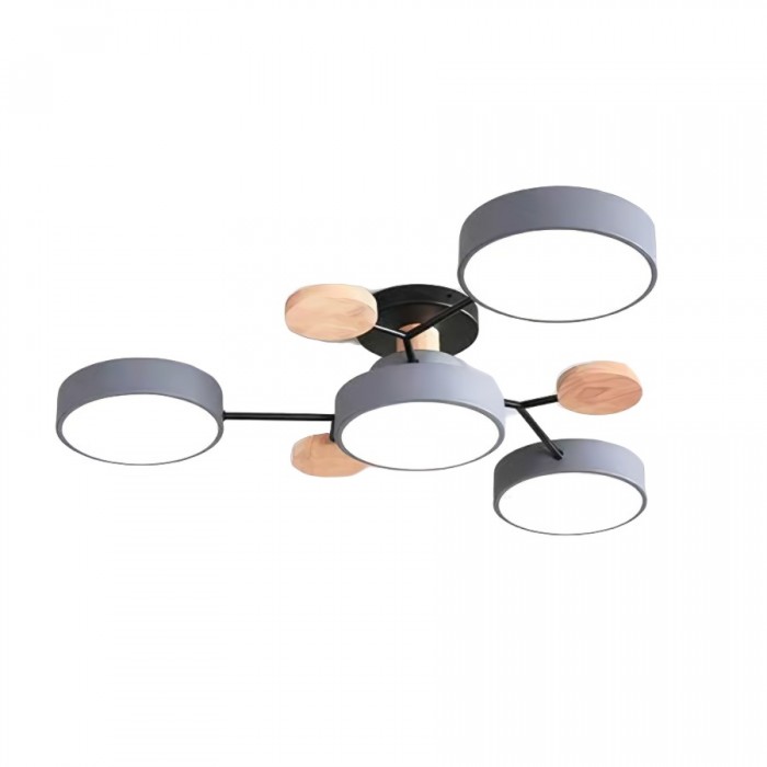LED Ceiling Light Fixture | Branchilo