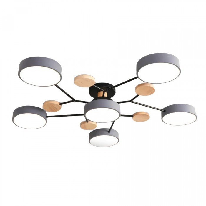 LED Ceiling Light Fixture | Branchilo
