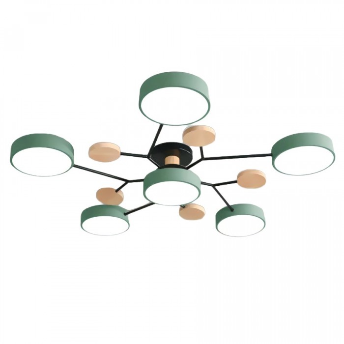 LED Ceiling Light Fixture | Branchilo