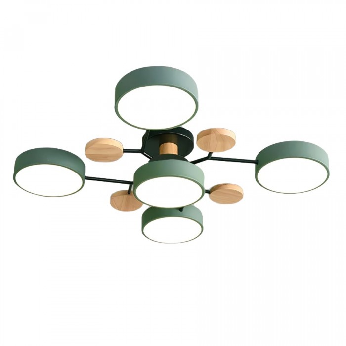 LED Ceiling Light Fixture | Branchilo