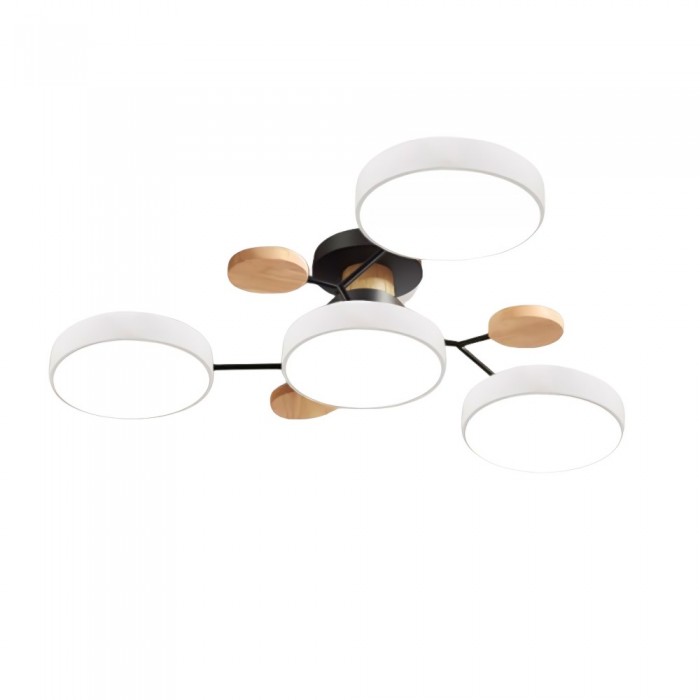 LED Ceiling Light Fixture | Branchilo