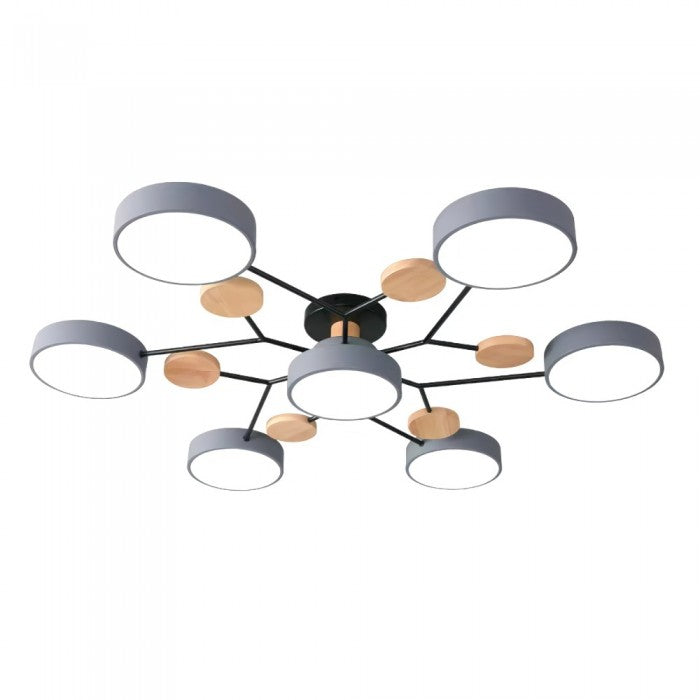 LED Ceiling Light Fixture | Branchilo