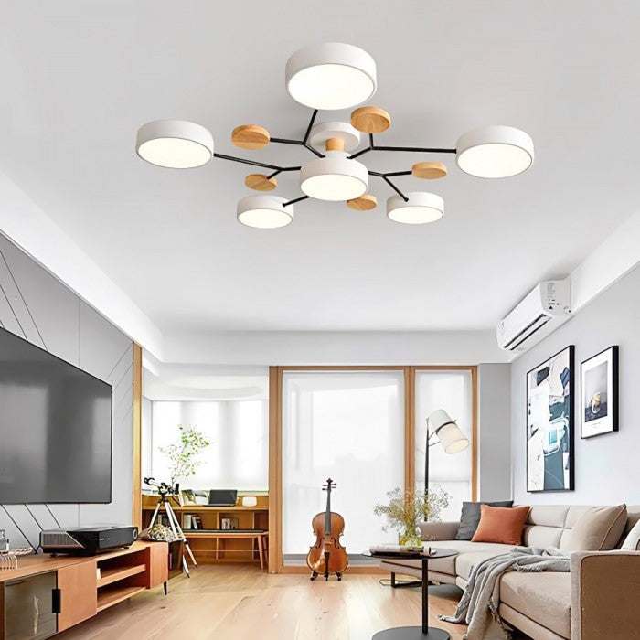 LED Ceiling Light Fixture | Branchilo