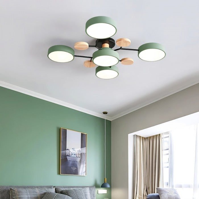 LED Ceiling Light Fixture | Branchilo