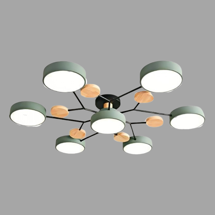 LED Ceiling Light Fixture | Branchilo