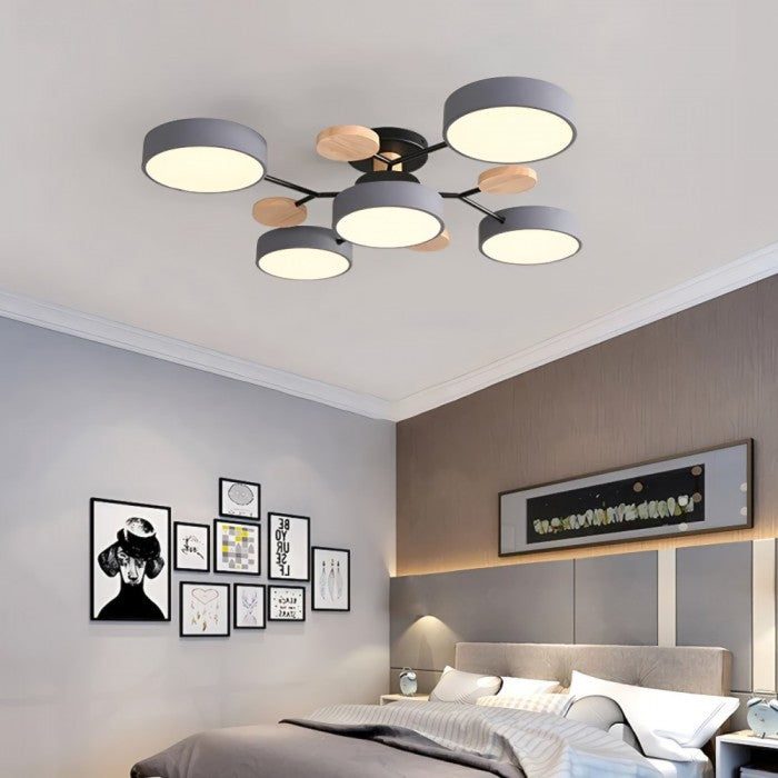 LED Ceiling Light Fixture | Branchilo