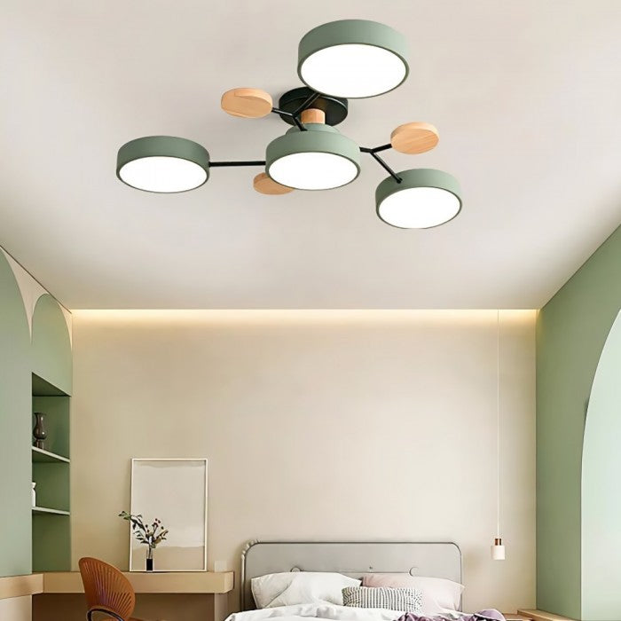 LED Ceiling Light Fixture | Branchilo