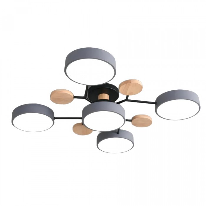 LED Ceiling Light Fixture | Branchilo