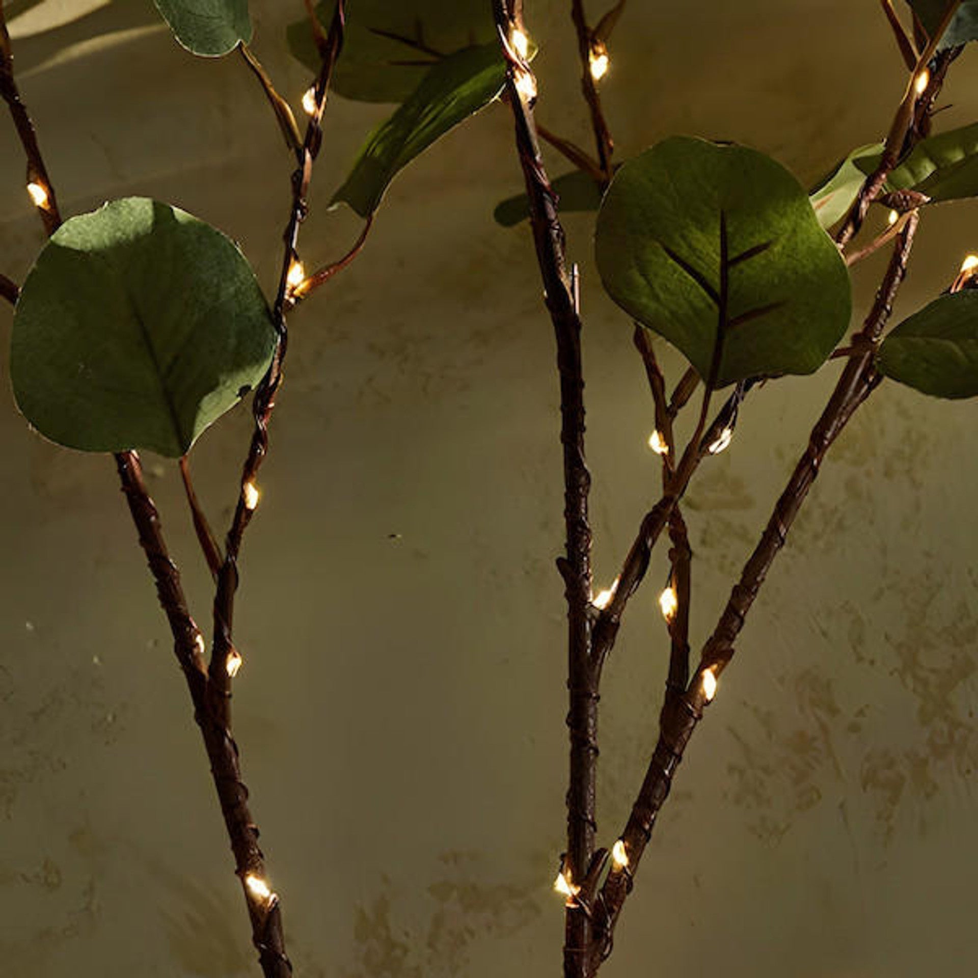 Olive Branch Fairy Lights | Lumivine