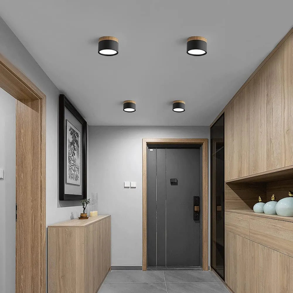 Cylindrical LED Ceiling Light Fixture | Luminex