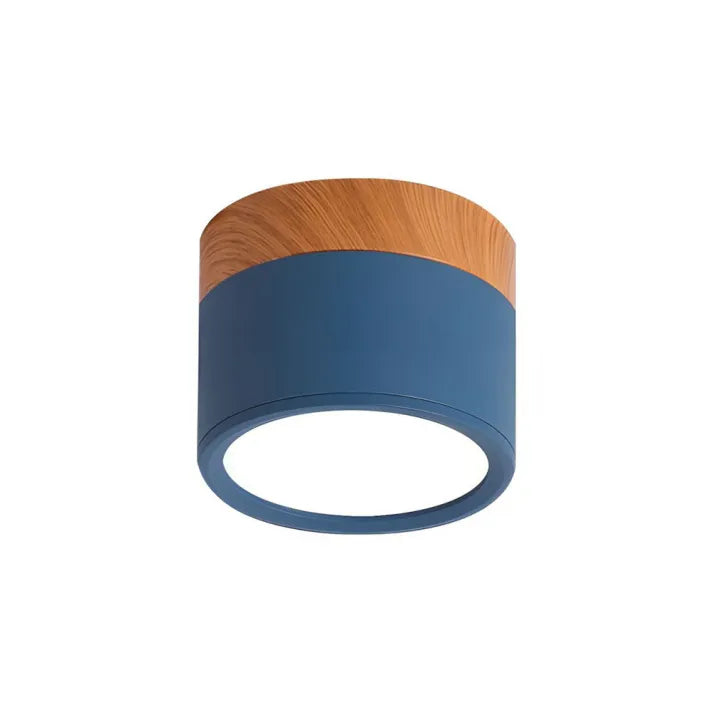 Cylindrical LED Ceiling Light Fixture | Luminex