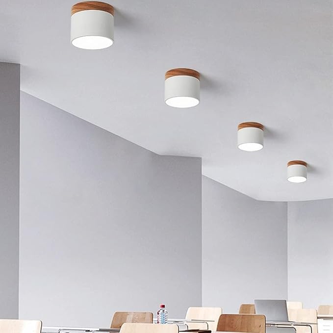 Cylindrical LED Ceiling Light Fixture | Luminex