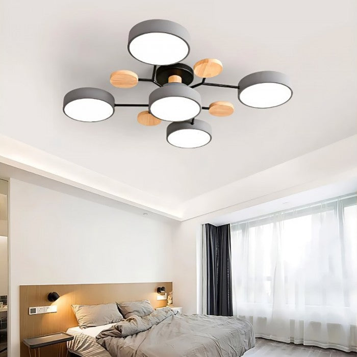 LED Ceiling Light Fixture | Branchilo